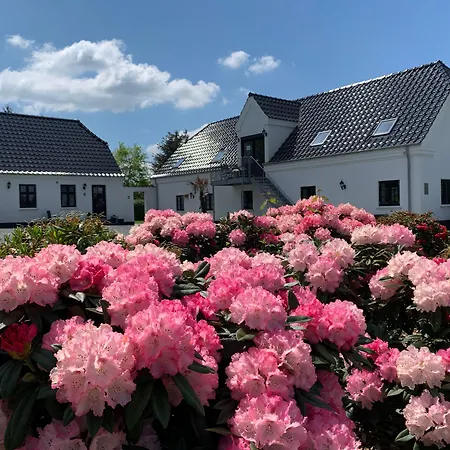 Hedegaarden Bed & Breakfast Engesvang