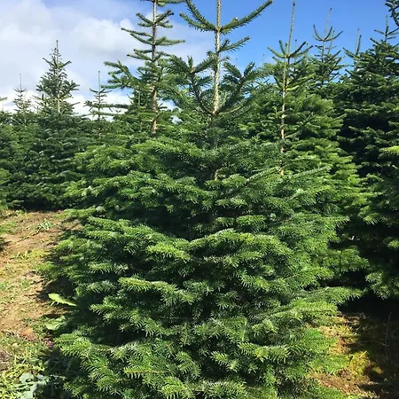 Hedegaarden ベッド・アンド・ブレックファスト