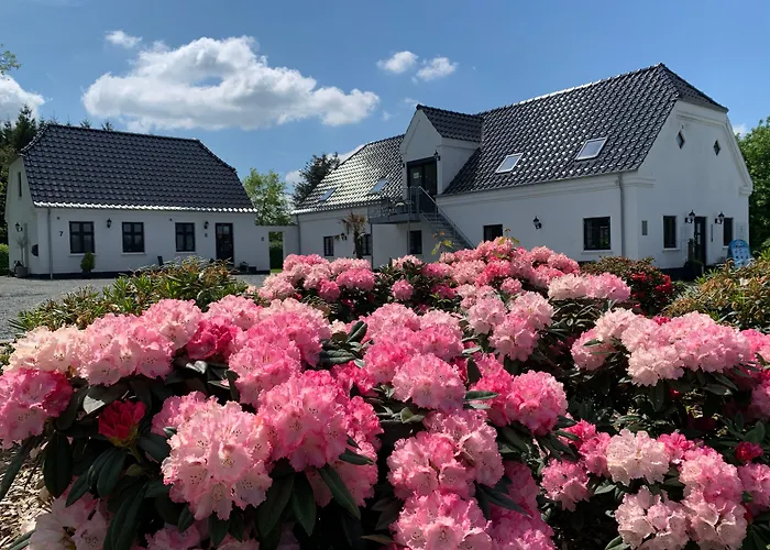 Hedegaarden Bed & Breakfast Engesvang